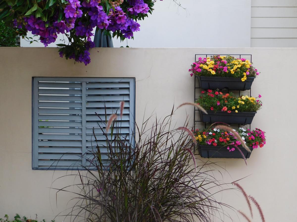 Beachport Bed & Breakfast Port Macquarie Esterno foto